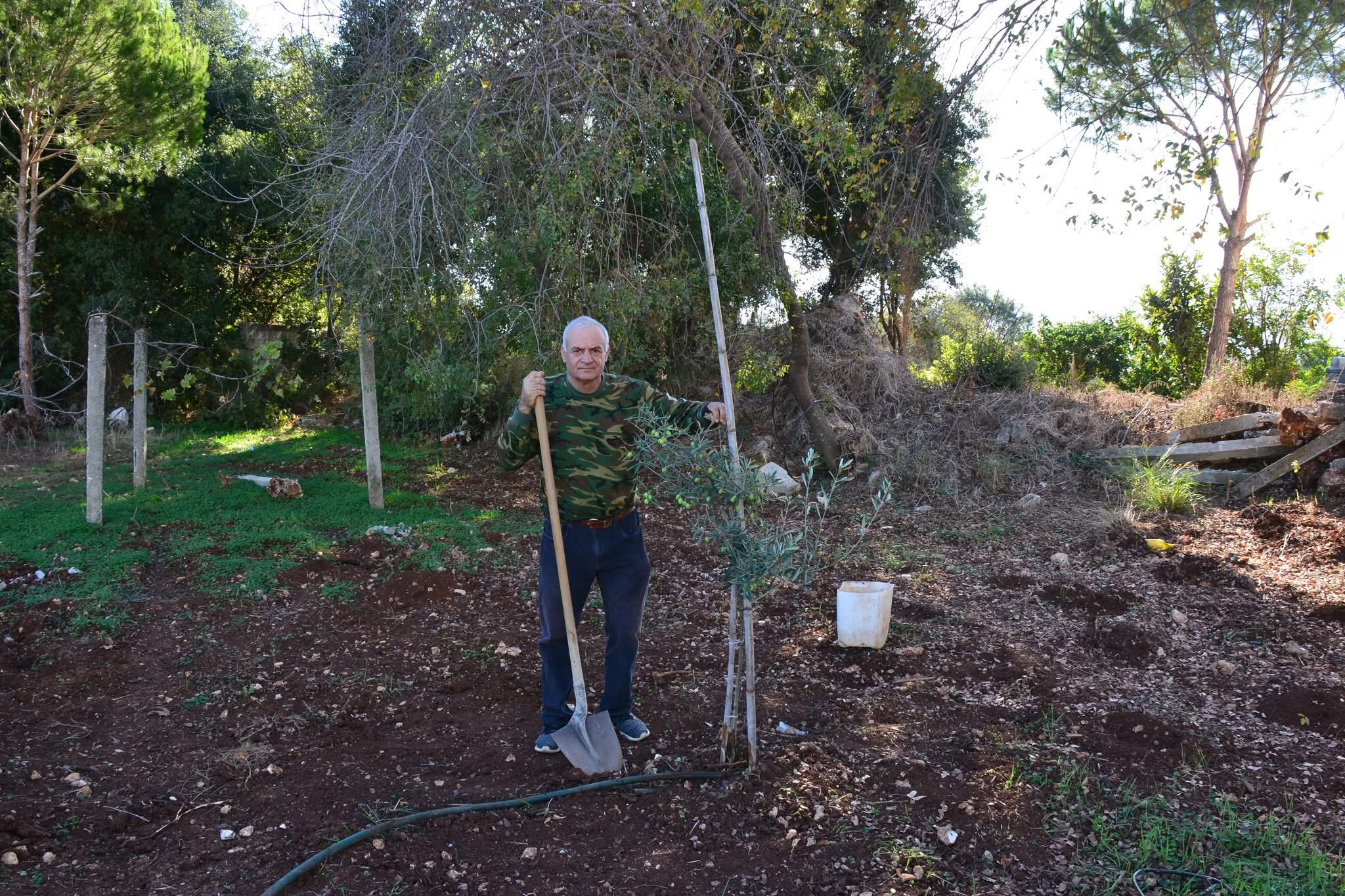 Tending the family olive grove in Fih